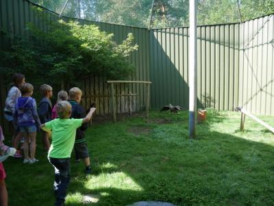 Foto des Albums: Besuch in der Greifvogelshow 2017
