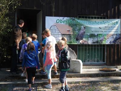 Foto des Albums: Besuch in der Greifvogelshow 2017