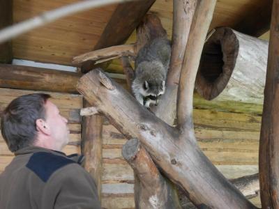 Foto des Albums: Besuch in der Greifvogelshow 2017