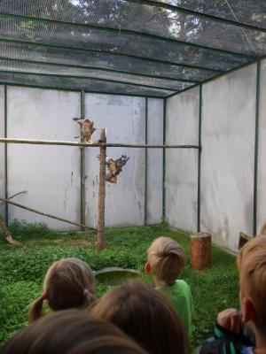 Foto des Albums: Besuch in der Greifvogelshow 2017