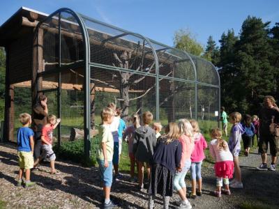 Foto des Albums: Besuch in der Greifvogelshow 2017