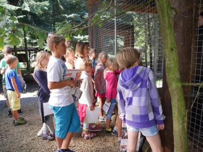 Foto des Albums: Besuch in der Greifvogelshow 2017