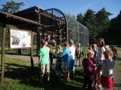 Foto des Albums: Besuch in der Greifvogelshow 2017