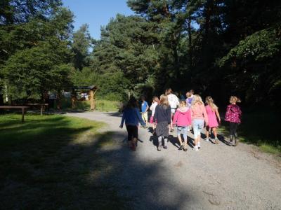 Foto des Albums: Besuch in der Greifvogelshow 2017