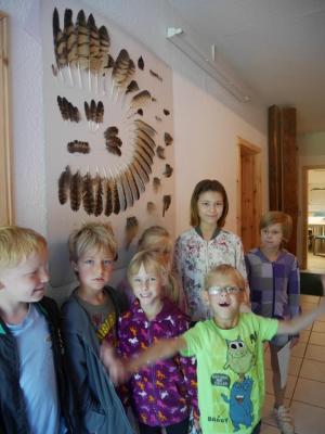Foto des Albums: Besuch in der Greifvogelshow 2017