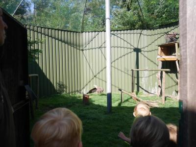 Foto des Albums: Besuch in der Greifvogelshow 2017
