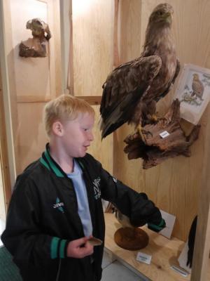 Foto des Albums: Besuch in der Greifvogelshow 2017