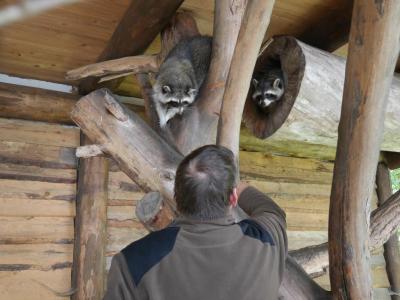 Foto des Albums: Besuch in der Greifvogelshow 2017
