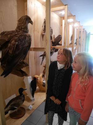 Foto des Albums: Besuch in der Greifvogelshow 2017