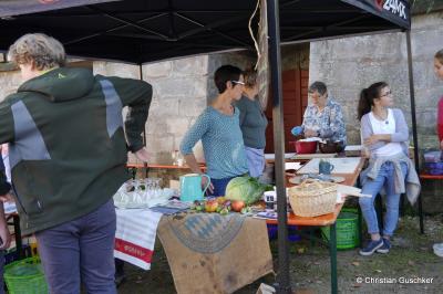 Foto des Albums: OGV Sauerkrautfest