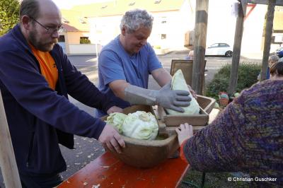 Foto des Albums: OGV Sauerkrautfest