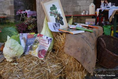 Foto des Albums: OGV Sauerkrautfest