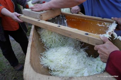 Foto des Albums: OGV Sauerkrautfest