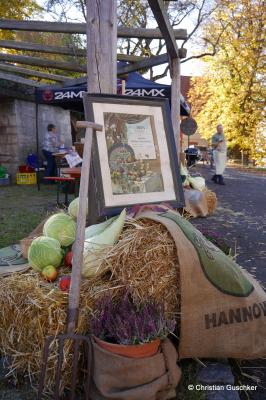 Foto des Albums: OGV Sauerkrautfest