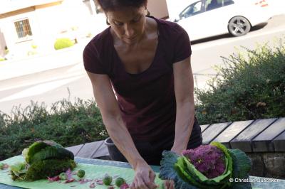 Foto des Albums: OGV Sauerkrautfest