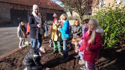 Foto des Albums: Pflanzaktion der Grundschule Grasleben