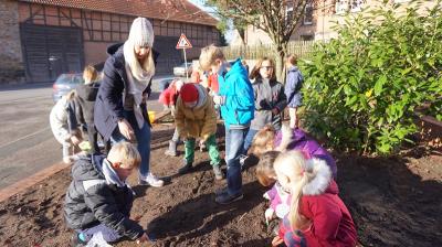 Foto des Albums: Pflanzaktion der Grundschule Grasleben