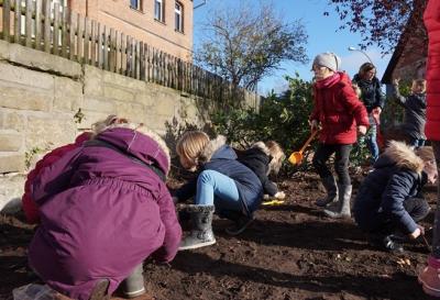 Foto des Albums: Pflanzaktion der Grundschule Grasleben
