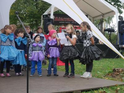 Foto des Albums: Unser Amt Elsterland wird 25 Jahre 2017