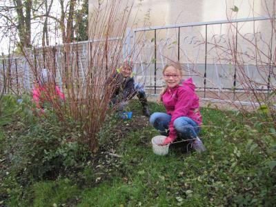 Foto des Albums: Pflanzaktion von gesponserten Frühjahrsblühern