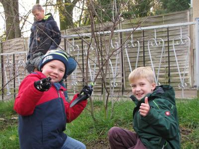 Foto des Albums: Pflanzaktion von gesponserten Frühjahrsblühern