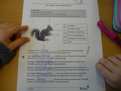 ... und wozu ein Eichh&ouml;rnchen sie braucht. 