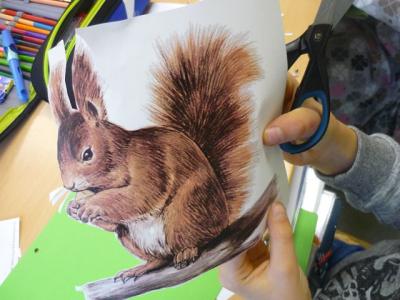 Dieses Eichh&ouml;rnchen soll sp&auml;ter das Deckblatt einer Eichh&ouml;rnchen-Sammelmappe schm&uuml;cken. 