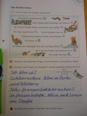 Fragen und Antworten zum Eichh&ouml;rnchen ... 