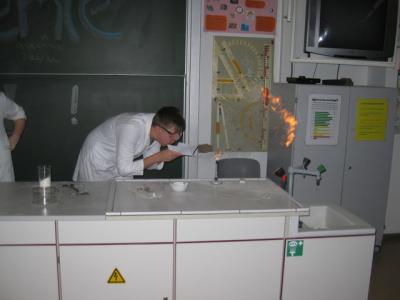 Foto des Albums: Grundschultag