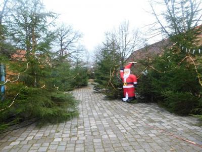 Foto des Albums: Die Adventszeit beginnt