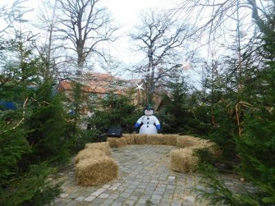 Foto des Albums: Die Adventszeit beginnt