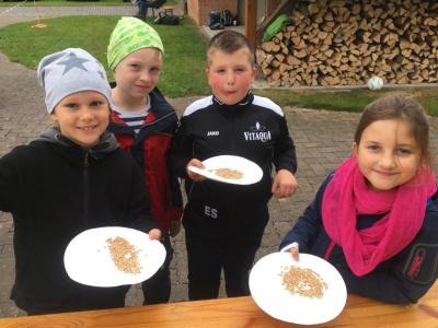 Foto des Albums: Vom Korn zum Brot