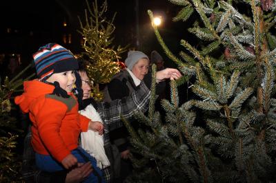 Foto des Albums: Adventsleuchten auf dem Wittstocker Marktplatz 2017 (05.12.2017)