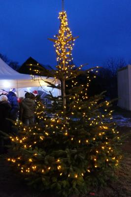 Foto des Albums: Adventsnachmittag in Nassenheide