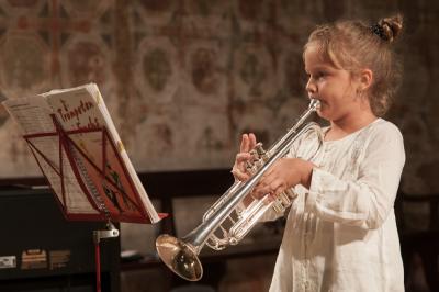 Foto des Albums: Benefizkonzert für die Glocken der St. Marienkirche