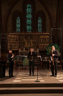 Foto des Albums: Benefizkonzert für die Glocken der St. Marienkirche