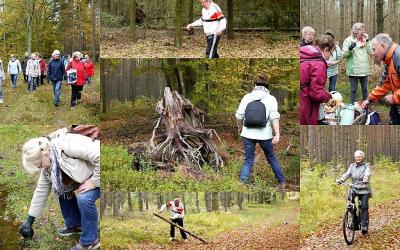 Foto des Albums: aktive Senioren 2017 - eine Übersicht