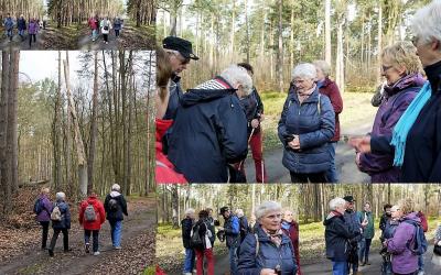 Foto des Albums: aktive Senioren 2017 - eine Übersicht