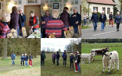 Foto des Albums: aktive Senioren 2017 - eine Übersicht