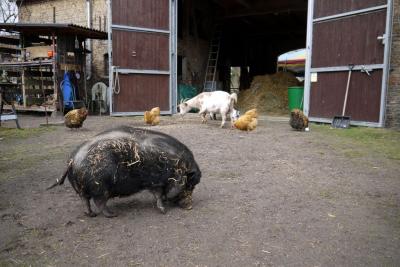 Foto des Albums: aktive Senioren 2017 - eine Übersicht