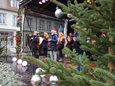 Foto des Albums: Pritzwalker Weihnachtsmarkt