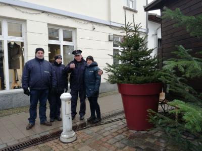 Foto des Albums: Pritzwalker Weihnachtsmarkt