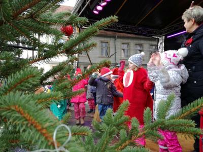 Foto des Albums: Pritzwalker Weihnachtsmarkt