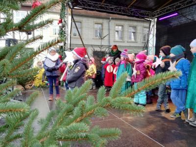 Foto des Albums: Pritzwalker Weihnachtsmarkt