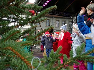 Foto des Albums: Pritzwalker Weihnachtsmarkt