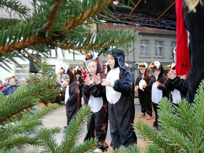 Foto des Albums: Pritzwalker Weihnachtsmarkt