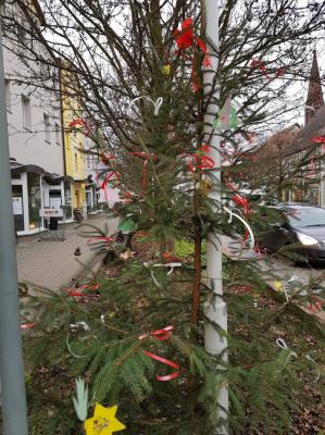 4. Platz - Baum Nr. 21  (Bild vergr&ouml;&szlig;ern)