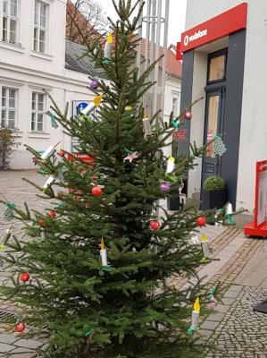 2. Platz - Baum Nr. 2  (Bild vergr&ouml;&szlig;ern)