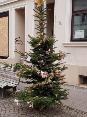 3. Platz - Baum Nr. 4  (Bild vergr&ouml;&szlig;ern)