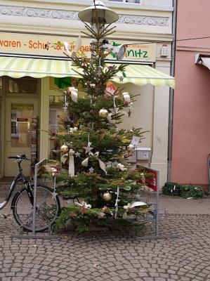 5. Platz - Baum Nr. 15  (Bild vergr&ouml;&szlig;ern)
